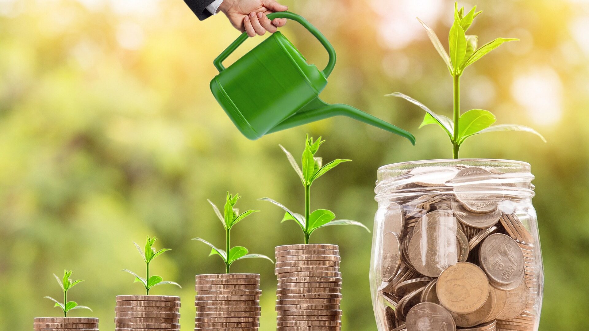Understanding Credit & Loans: A Guide for Individuals and Businesses