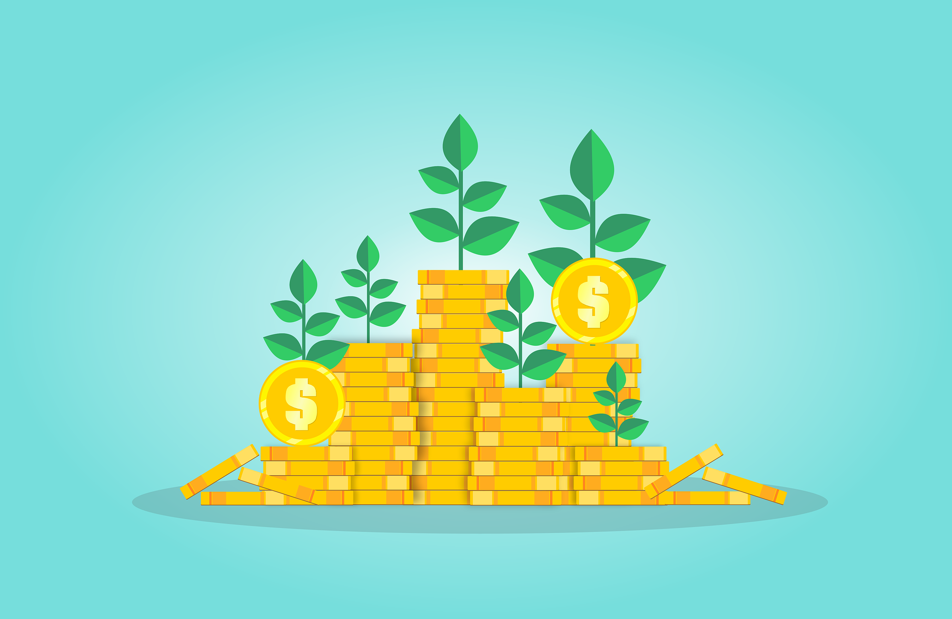 A Guide to Funding Success