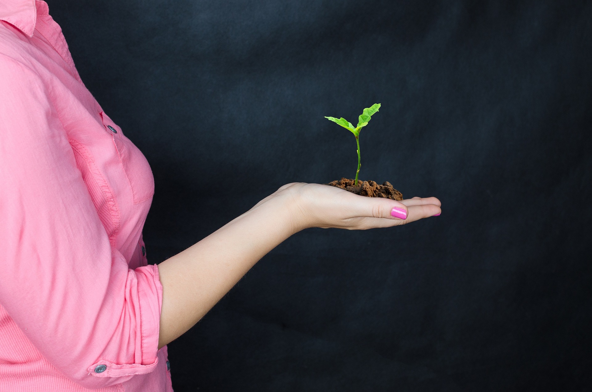 How Startups Can Scale with Confidence Preparing for Growth