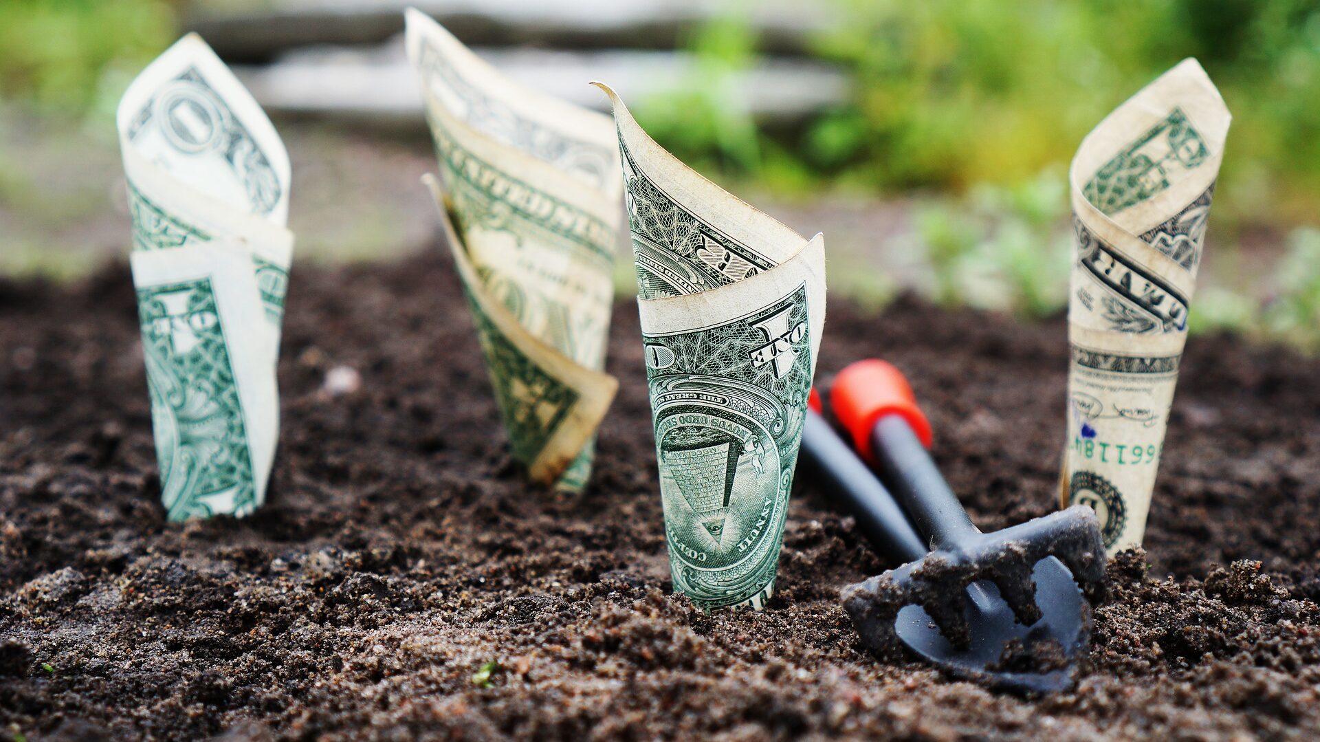A Guide to Building Wealth Over Time by Invest for Long-Term Growth